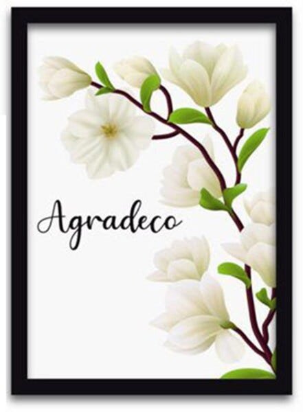 Conjunto Quadros Decorativos 4 peças 20x30 Flores e Frases - Moldura Preta - 5