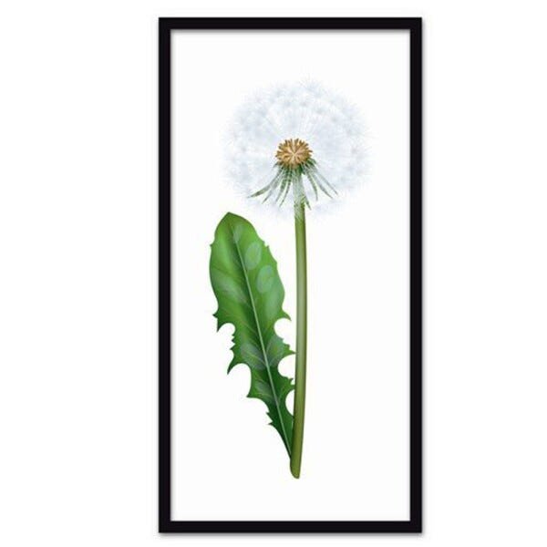 Conjunto Quadros Decorativos 3 peças 30x60 Flores - Moldura Preta - 3