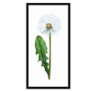 Ver imagem 3 de Conjunto Quadros Decorativos 3 peças 30x60 Flores - Moldura Preta