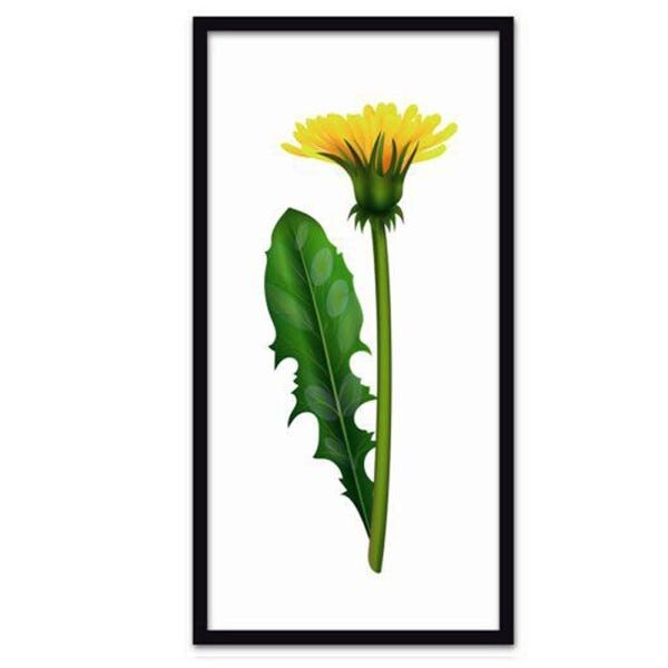 Conjunto Quadros Decorativos 3 peças 30x60 Flores - Moldura Preta - 4