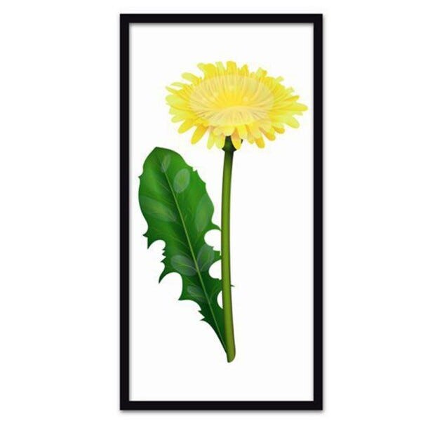 Conjunto Quadros Decorativos 3 peças 30x60 Flores - Moldura Preta - 2