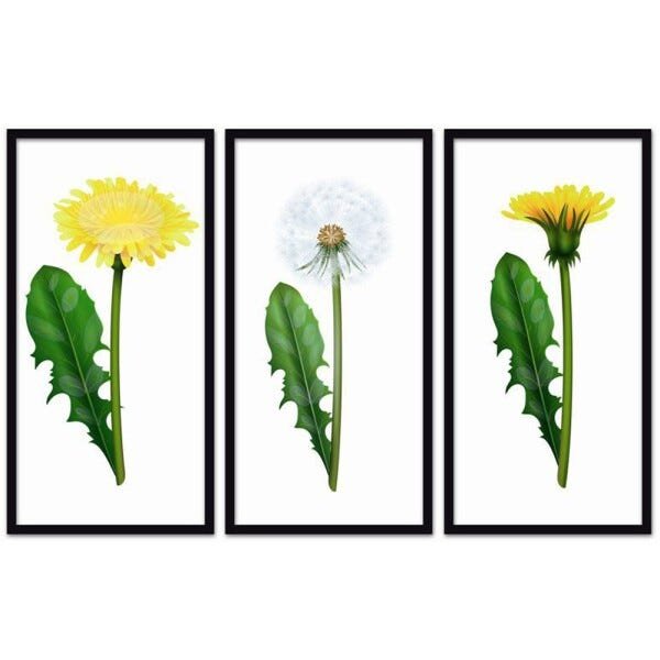 Conjunto Quadros Decorativos 3 peças 30x60 Flores - Moldura Preta - 1