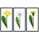 Ver imagem 1 de Conjunto Quadros Decorativos 3 peças 30x60 Flores - Moldura Preta