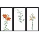 Ver imagem 1 de Conjunto Quadros Decorativos 3 peças 30x60 Flora - Moldura Preta