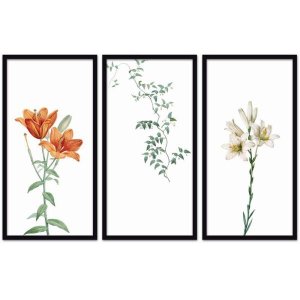 Conjunto Quadros Decorativos 3 peças 30x60 Flora - Moldura Preta