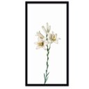 Ver imagem 4 de Conjunto Quadros Decorativos 3 peças 30x60 Flora - Moldura Preta