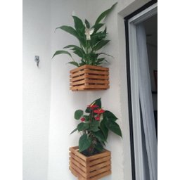 Cachepô, Jardim Vertical, Cachepot de Madeira, Decoração C2 - 2