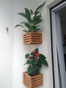 Ver imagem 2 de Cachepô, Jardim Vertical, Cachepot de Madeira, Decoração C2
