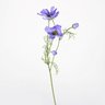 HASTE FLOR COSMOS X5 AZUL REAL TOQUE 68CM - 1
