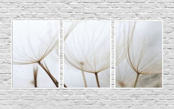 Quadros Decorativos Flor Dandelion Dente de Leão - Branco - 30 x 40 - 1