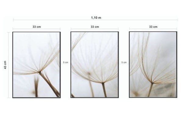 Quadros Decorativos Flor Dandelion Dente de Leão - Branco - 30 x 40 - 2