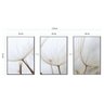 Quadros Decorativos Flor Dandelion Dente de Leão - Branco - 30 x 40 - 2
