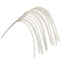 Ver imagem 1 de Galho Lateral Plumas Capim Pampas Off White 70cm - Magizi