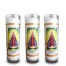 KIT 3 VELA VOTIVA PVC NOSSA SENHORA APARECIDA - 1