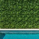 Ver imagem 5 de 16 Painéis Jardim Vertical Artificial Samambaia e Eucalipto Parede Verde Apartamento e Varanda 3d