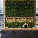 Ver imagem 6 de 16 Painéis Jardim Vertical Artificial Samambaia e Eucalipto Parede Verde Apartamento e Varanda 3d