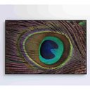 Ver imagem 2 de Quadro Penas De Pavão 90x60 Cm Tecido Canvas