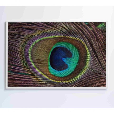 Quadro Penas De Pavão 90x60 Cm Tecido Canvas