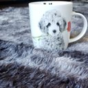 Ver imagem 3 de Tapete para Sala e Quarto Felpudo Cronos Casa Dona 150x200cm Cinza