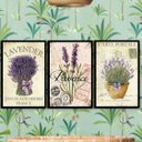Ver imagem 2 de Kit 3 Quadros Lavanda Francesa Provence 24x18cm - com Vidro:madeira Preta