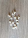 Ver imagem 2 de Saco Secadora Amiga Fischer 4kg + 15 Travas Reposição