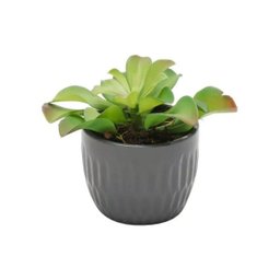 VASO CER&Acirc;MICA EMBOSSED GROOVE CINZA 12,2 X 12,2 X 9,7 CM - 3