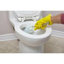 Ver mais imagens de Kit 12 Vassouras Com Suporte Para Vaso Sanitário No Atacado