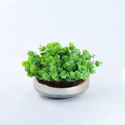 Arranjo Jardim de Eucaliptos em Vaso Ambar - 2