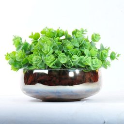 Arranjo Jardim de Eucaliptos em Vaso Ambar - 1