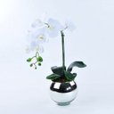 Ver imagem 2 de Arranjo de Orquídea Branca Toque Real Espelhado Eros