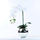 Ver imagem 1 de Arranjo de Orquídea Branca Toque Real Espelhado Eros