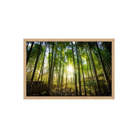 Quadro Decorativo Árvores Bambu: Mod. 0395 Collor-ink Mod.0395 60 X 90cm Marrom