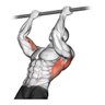 Barra Fixa Parede Crossfit Pull-up Chin-up Tríceps Paralelas - 3