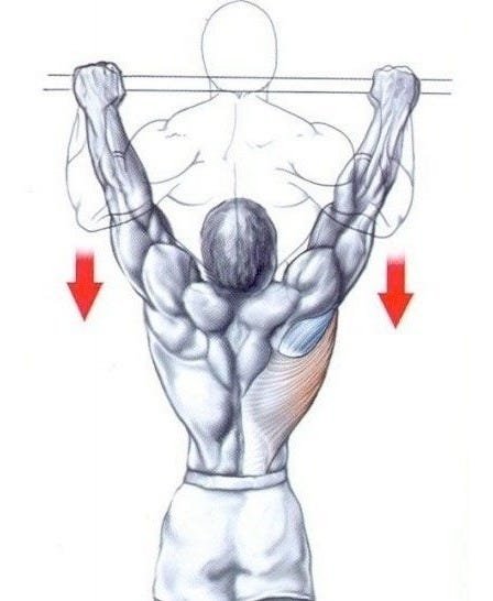 Barra Fixa de Parede para Musculação Pull-Up Tríceps Paralelas - 4