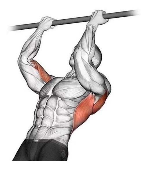Barra Fixa de Parede para Musculação Pull-Up Tríceps Paralelas - 3