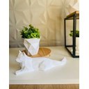 Ver imagem 4 de Gato deitado low poly Branco