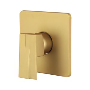 Acabamento para Registro Monocomando Dourado Fosco Chuveiro Banheiro Padrão Deca