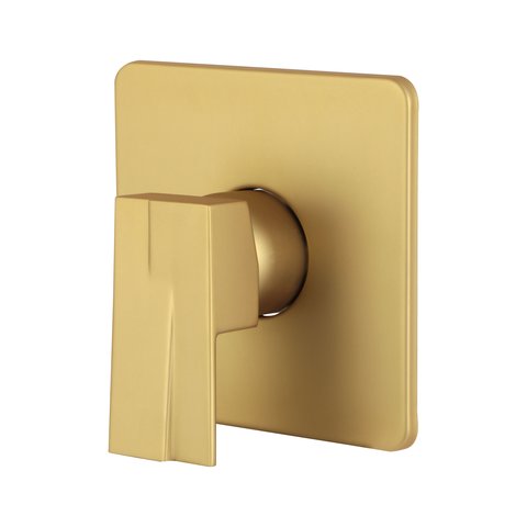 Acabamento para Registro Monocomando Dourado Fosco Chuveiro Banheiro Padrão Deca