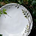 Ver imagem 3 de Conjunto de Pratos Fundos 06 Peças Bio Birdy Porto Brasil