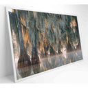 Ver imagem 1 de Quadro Árvores de Ciprestes no Lago Martin Medidas 120x80 Cm Tipo de Impressão Tecido Canvas