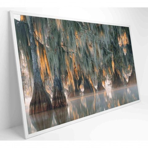 Quadro Árvores de Ciprestes no Lago Martin Medidas 120x80 Cm Tipo de Impressão Tecido Canvas