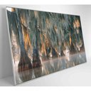 Ver imagem 6 de Quadro Árvores de Ciprestes no Lago Martin Medidas 120x80 Cm Tipo de Impressão Tecido Canvas