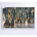 Ver imagem 2 de Quadro Árvores de Ciprestes no Lago Martin Medidas 120x80 Cm Tipo de Impressão Tecido Canvas