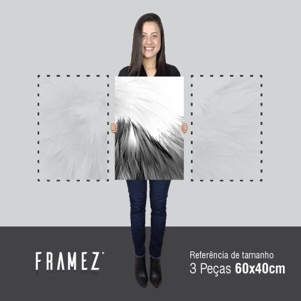 Quadro Asas Abstrato em Preto e Branco Arte em Canvas 60x120 - 5