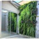 Ver imagem 2 de Jardim Vertical Muro Vertical Plantas Verde Artificiais