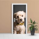 Ver imagem 1 de Adesivo de Porta Cachorro 4 Arte Destaque G - 0,93 X 2,13 Metros