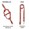 Peitoral e Guia para cachorros - Tamanho Pequeno - Modelo Melancia - 3