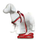 Ver imagem 5 de Peitoral e Guia para Cachorros - Tamanho Pequeno - Modelo Melancia