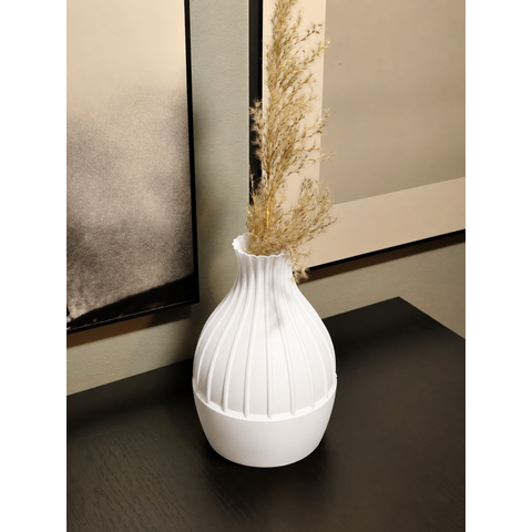 Vaso para Plantas e Decoração