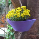 Ver imagem 5 de Vaso Planta 40x15 Parede Polietileno BGPLASTICOS MARROM CAFE 003
